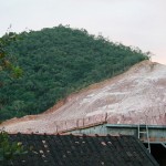 DEFORASTATION RAIN FOREST RIO DE JANEIRO BRAZIL